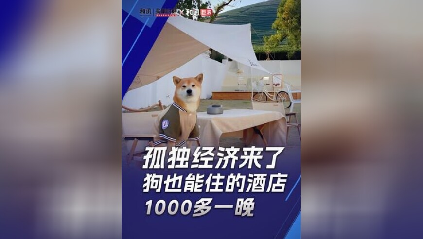 四肖八码期期准长期免费公开资料,黄老板周洁琼西湖边合奏,最新热门解答落实_体验版V6.57