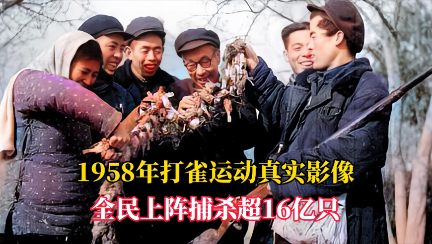 大三巴一肖一码中,已婚男子每月给女主播买40克金条,广泛的解释落实方法分析_iosV8.14